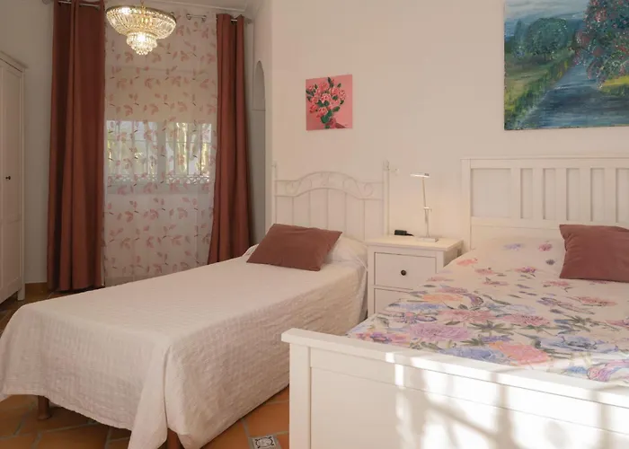 La Contenta Jardin Y Piscina En Conil Centro ヴィラ