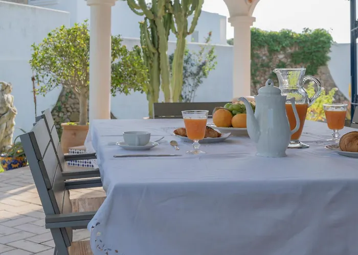 La Contenta Jardin Y Piscina En Conil Centro * コニル・デ・ラ・フロンテラ