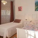 La Contenta Jardín Y Piscina En Conil Centro Villa