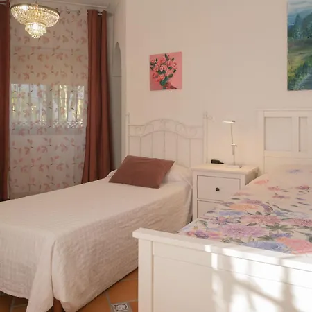 La Contenta Jardín Y Piscina En Conil Centro Villa